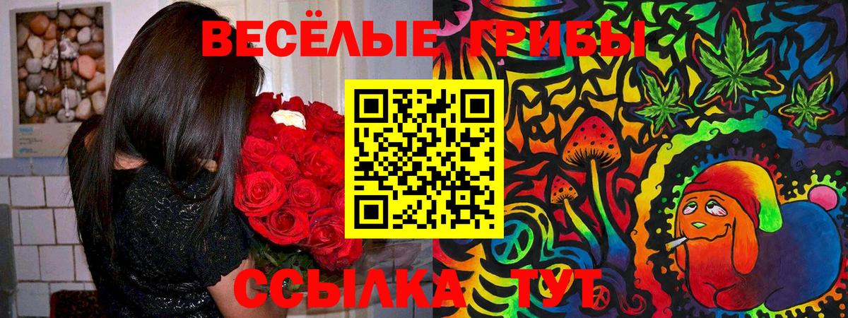 Новый Уренгой  Галлюциногенные грибы GOLDEN TEACHER  Галлюциногенные грибы прущие грибы  Вход с VPN 